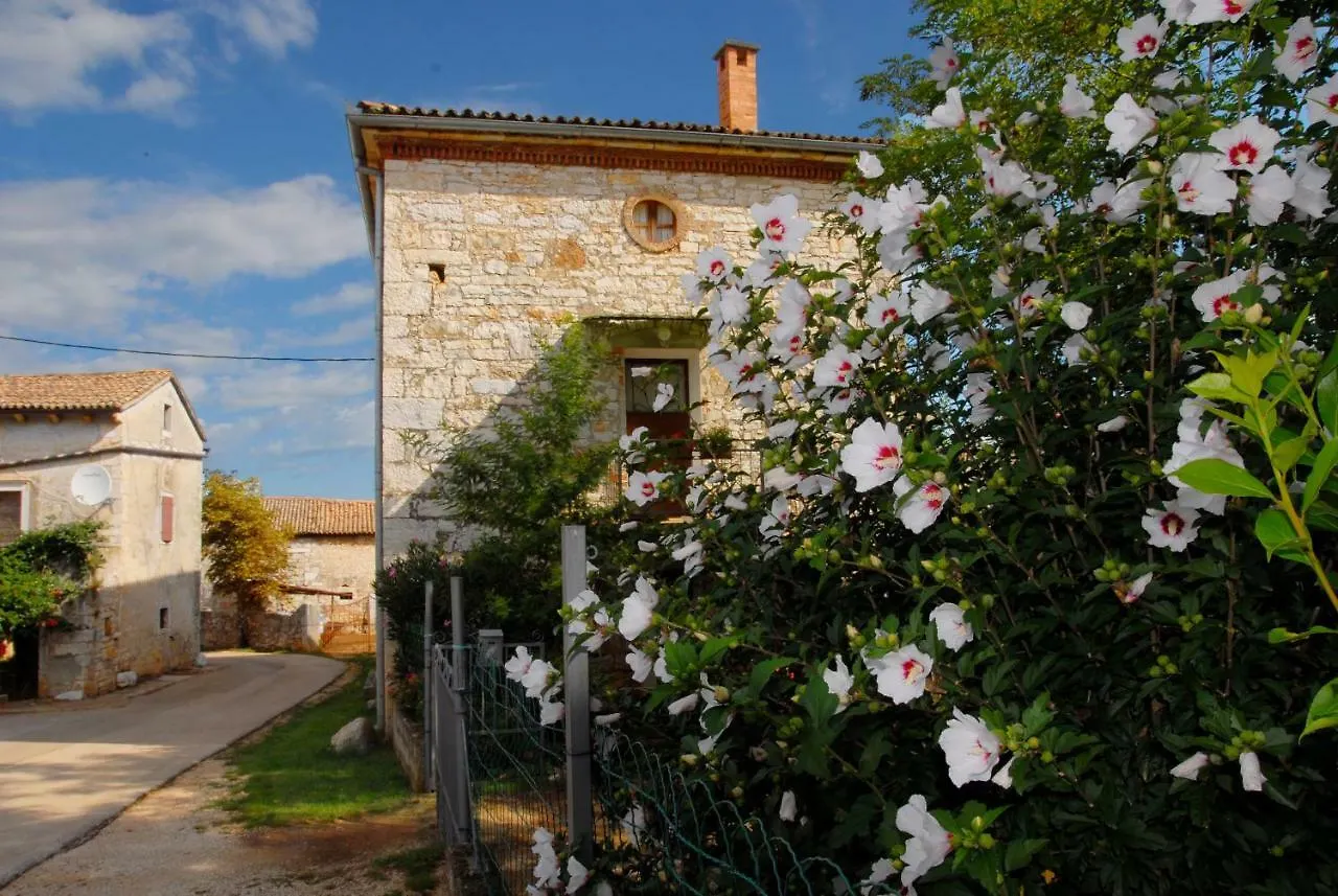 Nova Vas  Nature House Jasenka